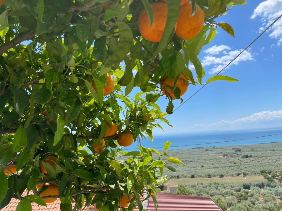 Villetta - Qui Dove Il Mare Luccica - Affitti Brevi Italia 圣安吉罗山 外观 照片